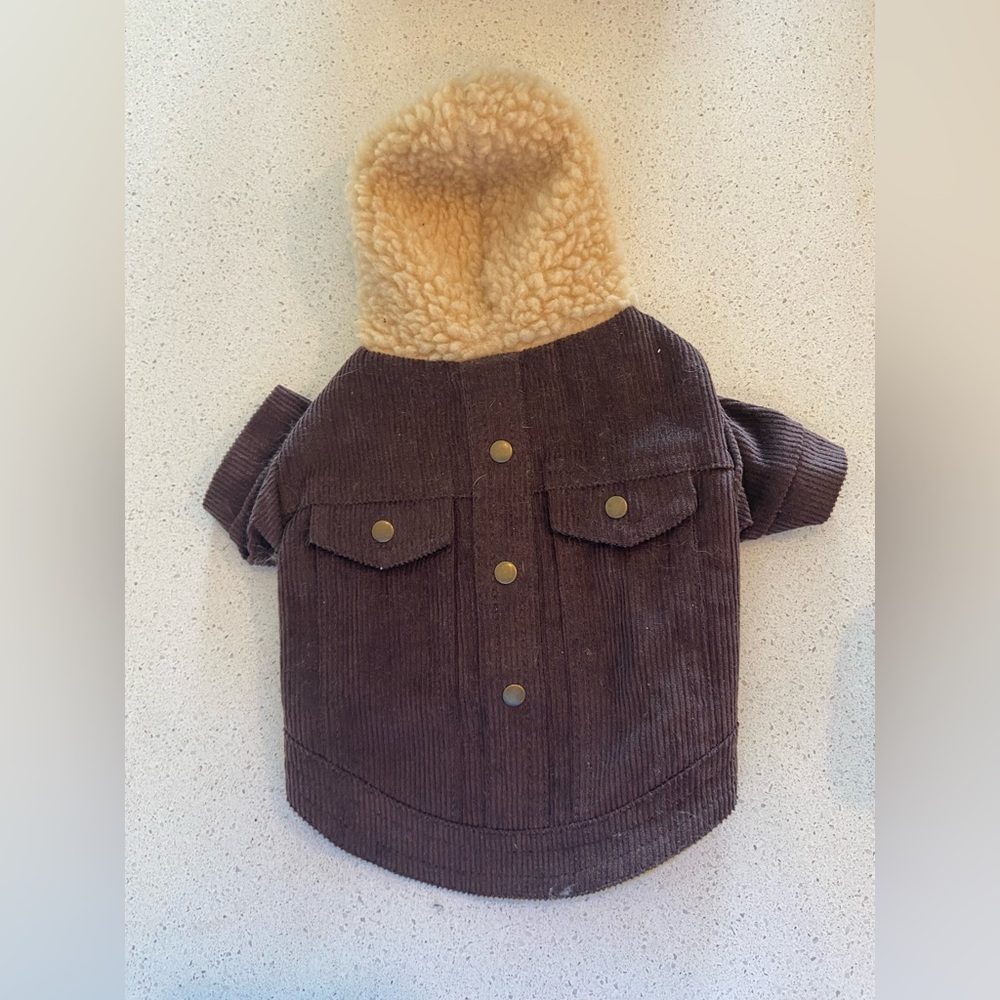 Cute fall dog or cat hoodie size extra small NWT